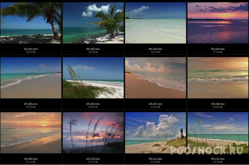 ArtBeats.Florida.Beaches.NTSC