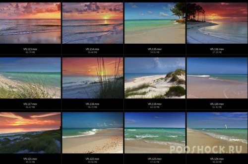 ArtBeats.Florida.Beaches.NTSC