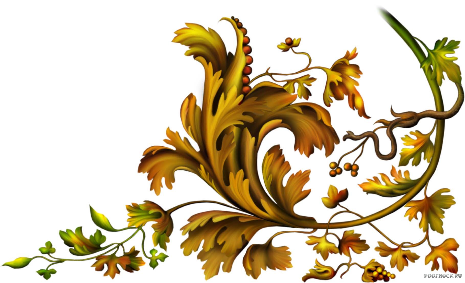 Осенний орнамент из цветов на прозрачном фоне