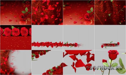 Digital Juice - EDITOR'S THEMEKIT 117: Roses are Red