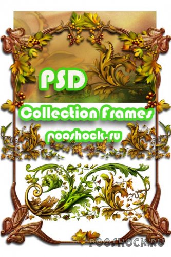 PSD Collection Frames
