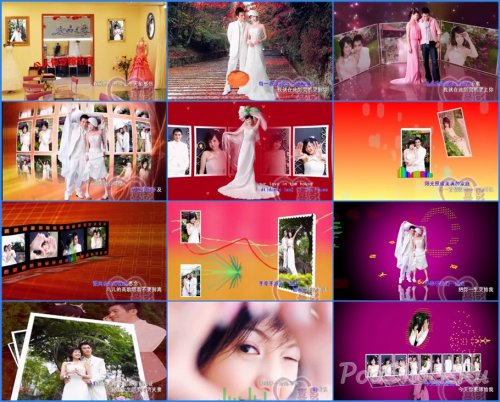 3D Album - Today You Want to Marry Me (Z9102)