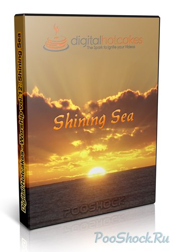 Digital Hotcakes - Worship vol.12: Shining Sea