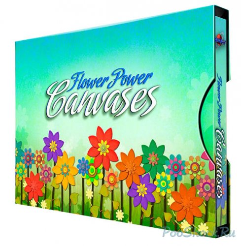 Digital Juice - Flower Power Canvases