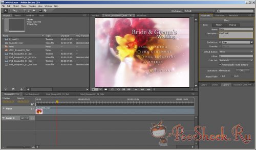 Adobe Premiere Pro CS4 (4.2.1) +