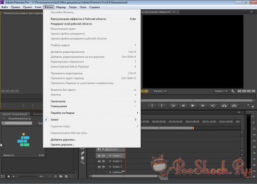 Adobe Premiere Pro CS6 (v.6.0.3) +