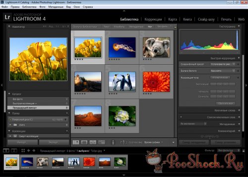 Adobe Photoshop Lightroom 4.3 Final RUS RePack