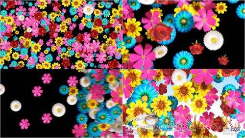Videohive - Flowers Transition Pack