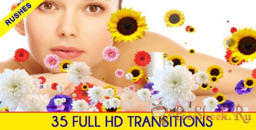 Videohive - Editors Transition Pack
