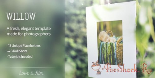 Videohive - Willow (.aep)