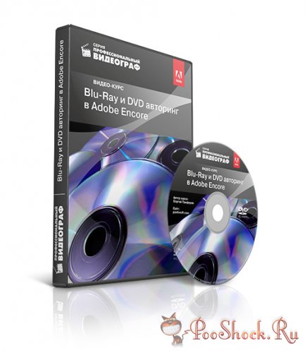     DVD  BluRay  Adobe Encore CS6 (RUS)