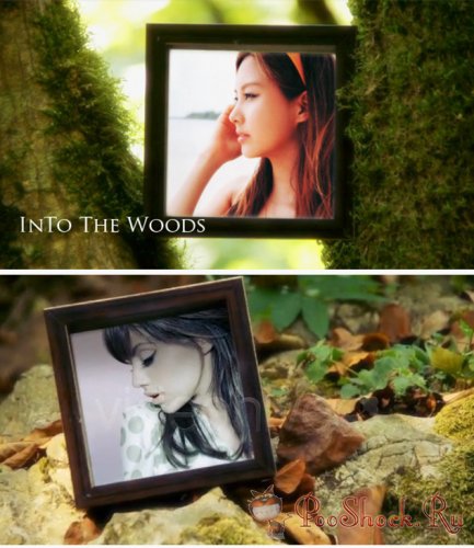 Videohive - into the woods (.aep)
