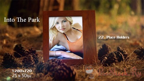 Videohive - Into The Park V1 (.aep)