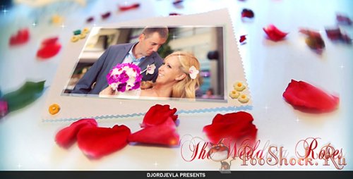 Videohive - the wedding roses (.aep)