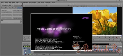 Avid Media Composer 8.0 (64-bit) MLRUS