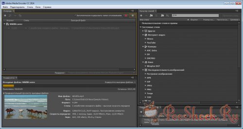 Adobe Media Encoder CC 2014 (8.0.0.173) MLRUS