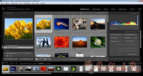 Adobe Photoshop Lightroom 5.6 RePack RUS