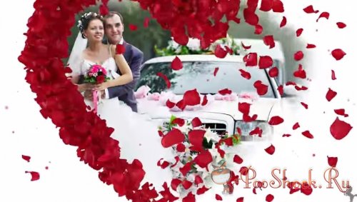  ProShow Producer - Roses Wedding