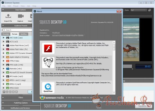 Sorenson Squeeze Desktop 10.0.0.91