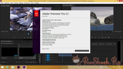 Adobe Premiere Pro CC 2014.2 (8.2.0) RUS-ML