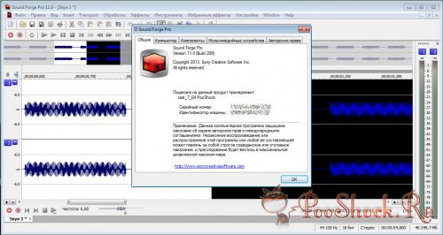 Sony Sound Forge Pro 11.0.299 RUS-ML