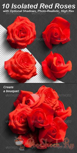 GraphicRiver 10 Photo-Realistic Isolated Red Roses