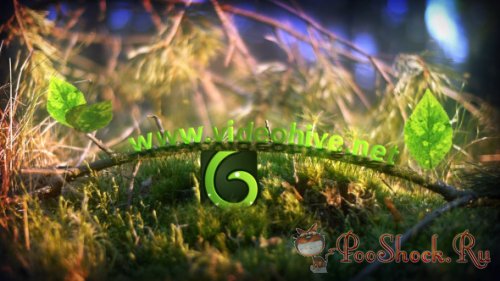 VideoHive - Spring Leaves Logo (.aep)