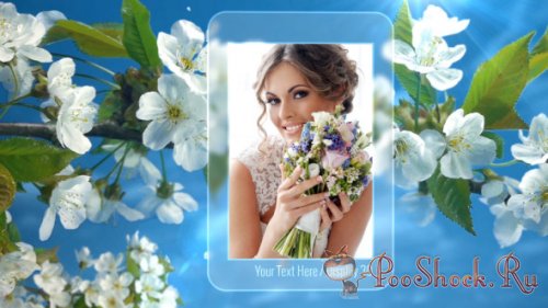 VideoHive - Photo Gallery Spring Blossoms (.aep)