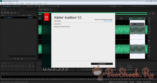 Adobe Audition CC 2015 (8.0.0.192)