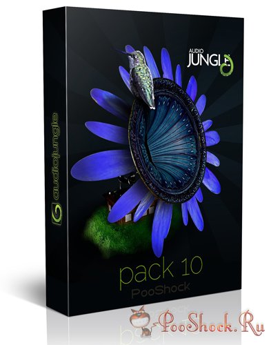 AudioJungle Pack-10