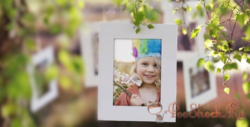 Videohive - Photo Gallery on a Sunny Afternoon (.aep)