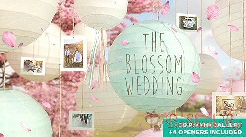 VideoHive - The Blossom Wedding - Photo Gallery Slideshow (.aep)