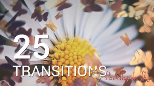 VideoHive - Butterflies Transitions (aep)