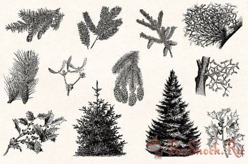 Winter Holidays - Vintage Engraving Illustration Set (PNG,AI)