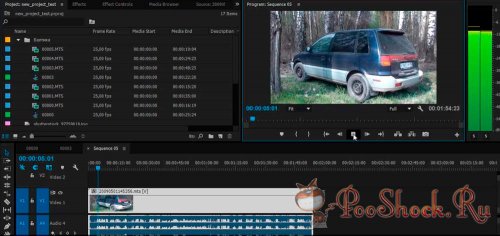    Adobe Premiere Pro CC ()