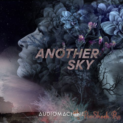 Audiomachine (Another Sky, Burn Point, Exogenesis, Reimagined) MP3