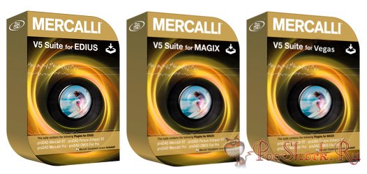 proDAD Mercalli 5.0 Plug-ins for Magix, Vegas, EDIUS