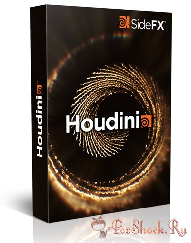 SideFX Houdini FX 19.5.303