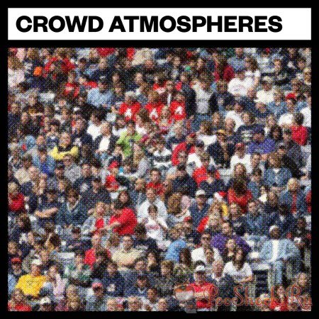 Big Room Sound Crowd Atmospheres (WAV)