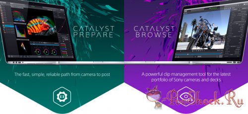 Sony Catalyst Browse Suite 2023.1