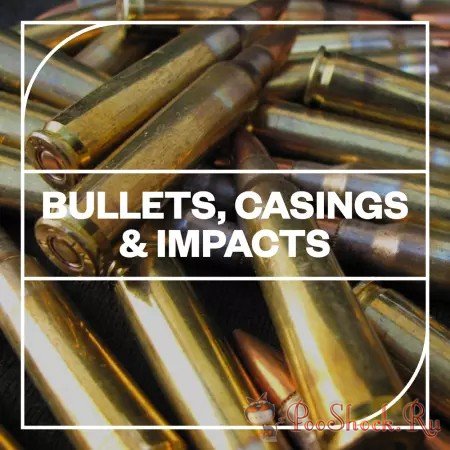 Blastwave FX - Bullets, Casings and Impacts (WAV)