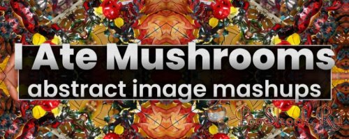 Ate Mushrooms 1.6.24 (for After Effects)
