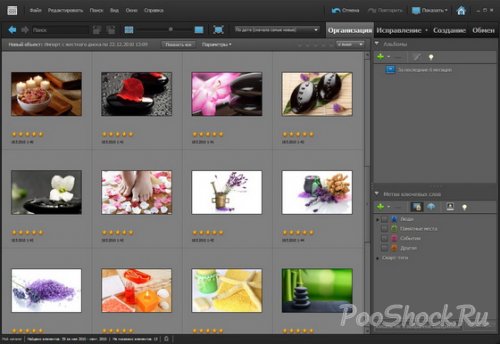 Adobe Photoshop Elements 9.0.3  