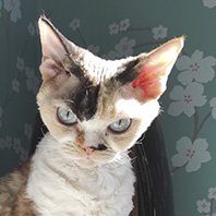 сергей иванович