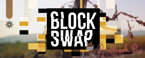 Block Swap 1.5.1 (for After Effects & Premiere Pro)