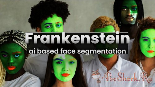 Frankenstein 1.2.42 (for Premiere Pro & After Effects)