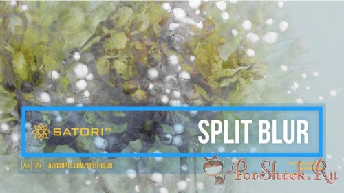 Split Blur 1.5.0 (for After Effects & Premiere Pro)