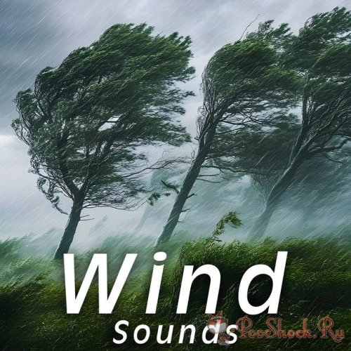 Wind Sounds (FLAC)