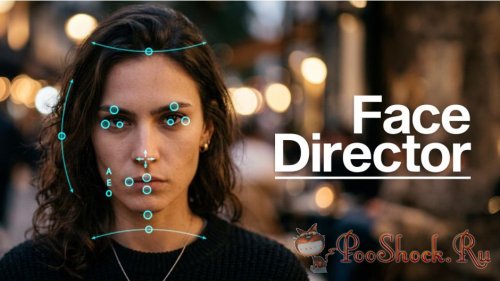 Face Director 1.10.3 (for Adobe + OFX)