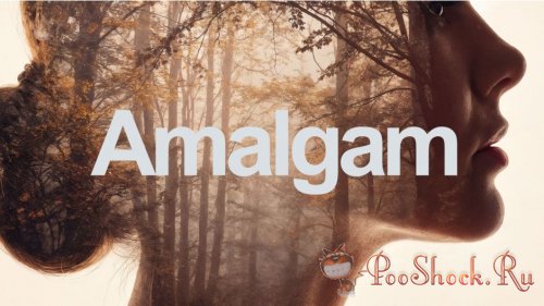 Amalgam 1.1.4 (for After Effects & Premiere Pro)